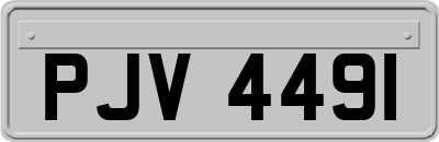 PJV4491