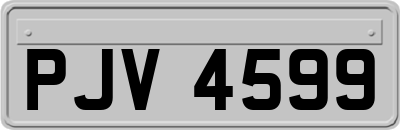 PJV4599