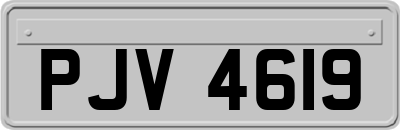 PJV4619