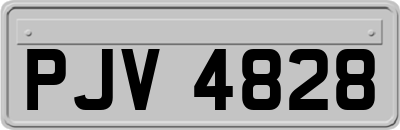 PJV4828