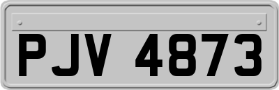 PJV4873