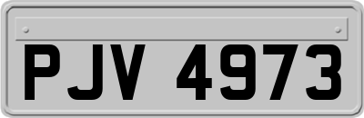 PJV4973