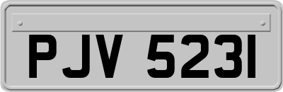 PJV5231