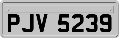 PJV5239