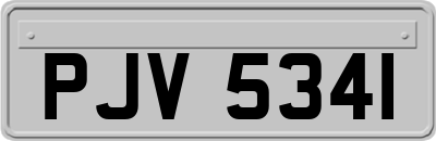 PJV5341