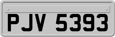 PJV5393