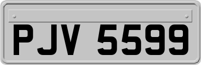 PJV5599