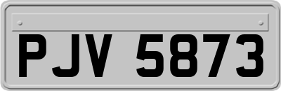 PJV5873