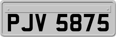 PJV5875
