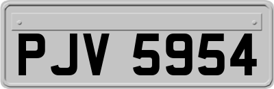 PJV5954