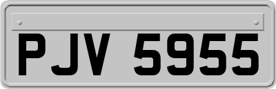 PJV5955