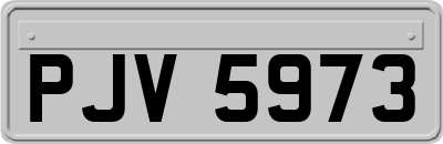 PJV5973