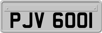 PJV6001