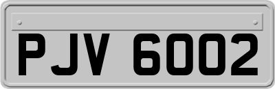 PJV6002
