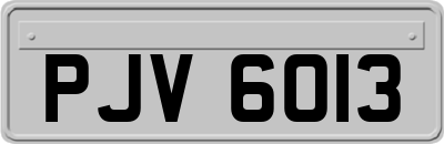 PJV6013