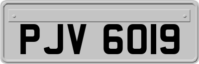 PJV6019