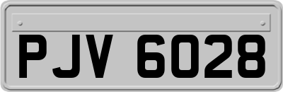PJV6028