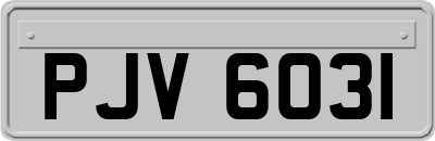 PJV6031