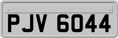 PJV6044
