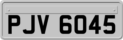 PJV6045