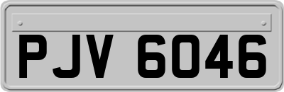 PJV6046