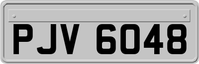 PJV6048