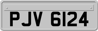 PJV6124