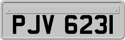 PJV6231
