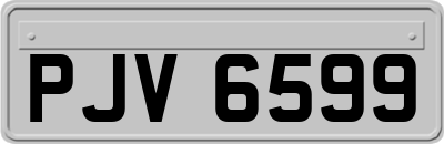 PJV6599
