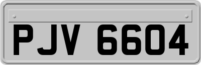 PJV6604