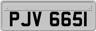 PJV6651
