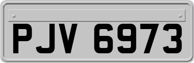 PJV6973