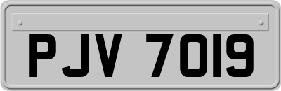 PJV7019