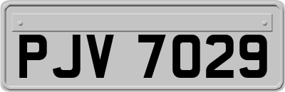 PJV7029