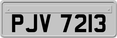 PJV7213