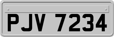 PJV7234