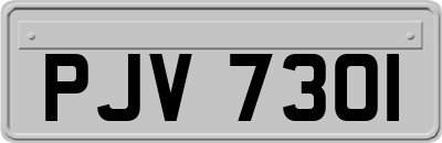PJV7301