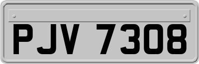 PJV7308