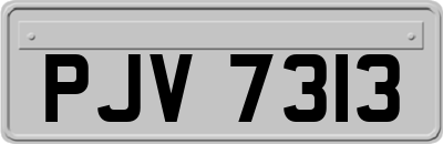PJV7313