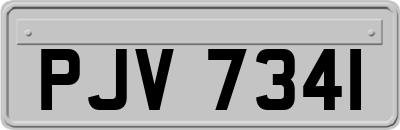 PJV7341