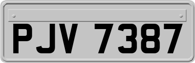 PJV7387