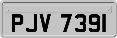 PJV7391
