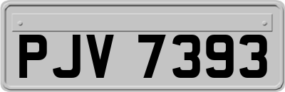 PJV7393