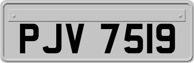 PJV7519