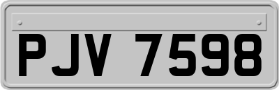 PJV7598