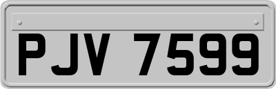 PJV7599