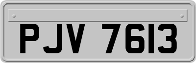 PJV7613
