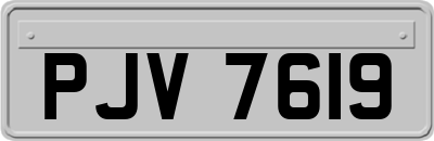 PJV7619