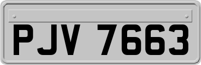 PJV7663