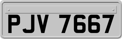 PJV7667